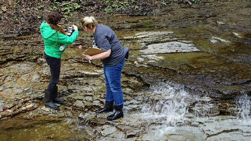  photo of workshop particpants collecting water samples